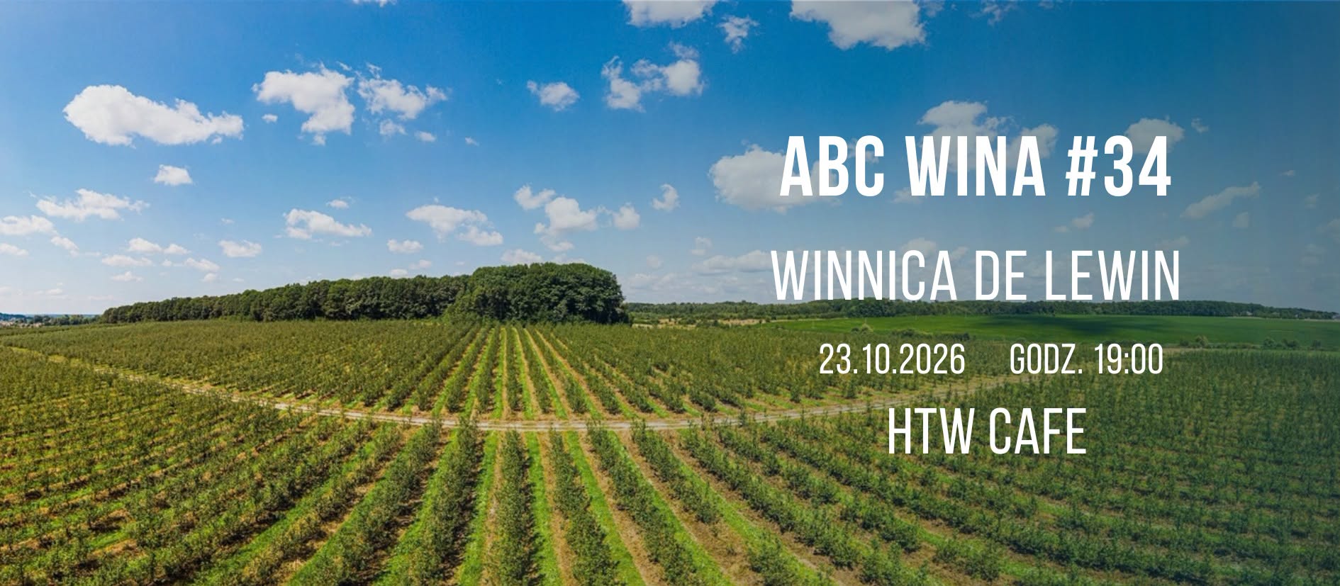 ABC Wines #34 – de Lewin Winery
