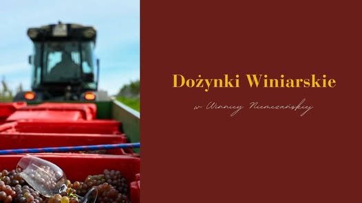 Wine Harvest Festival: Meetings with the Winemaker