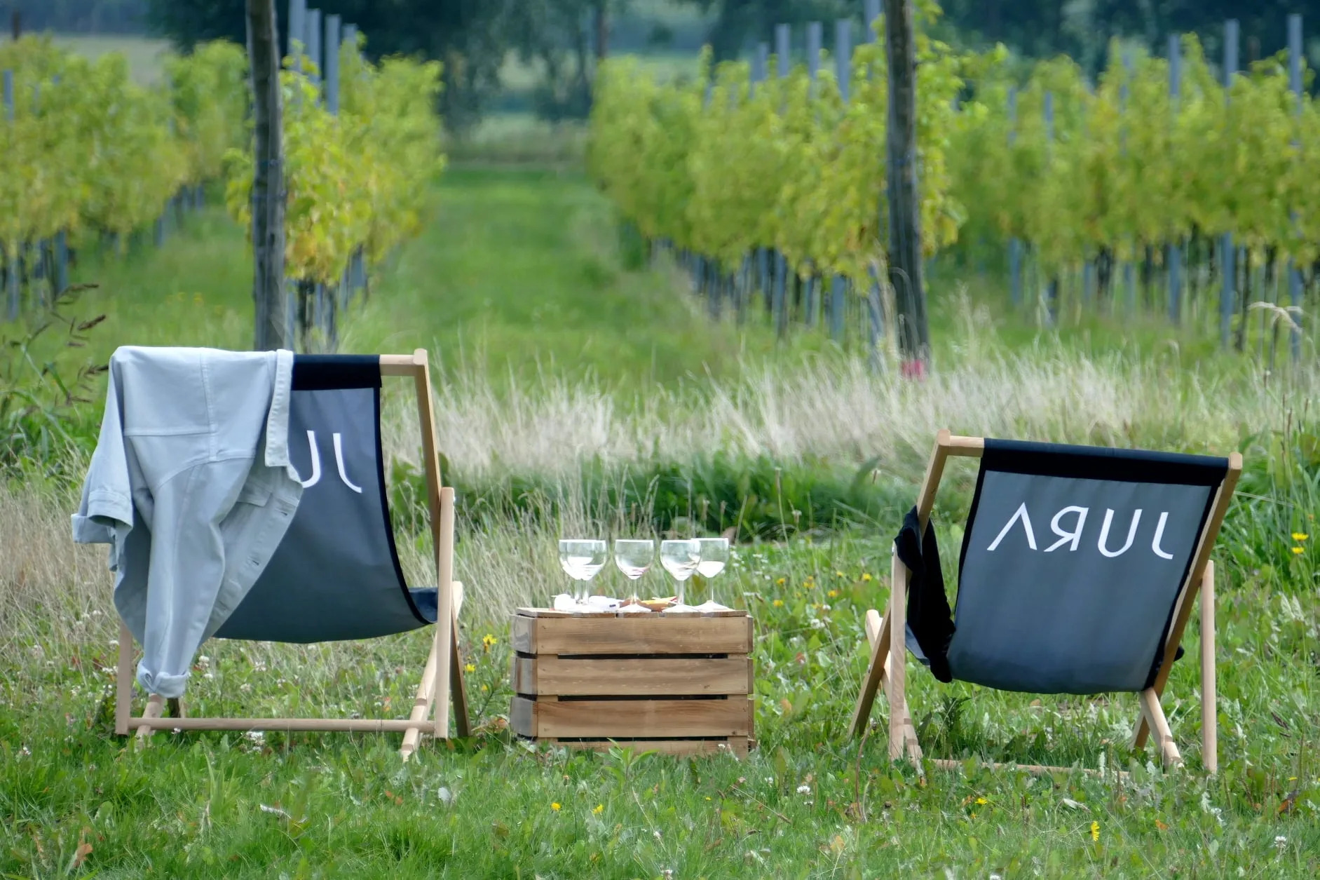 Sunday in the Winery