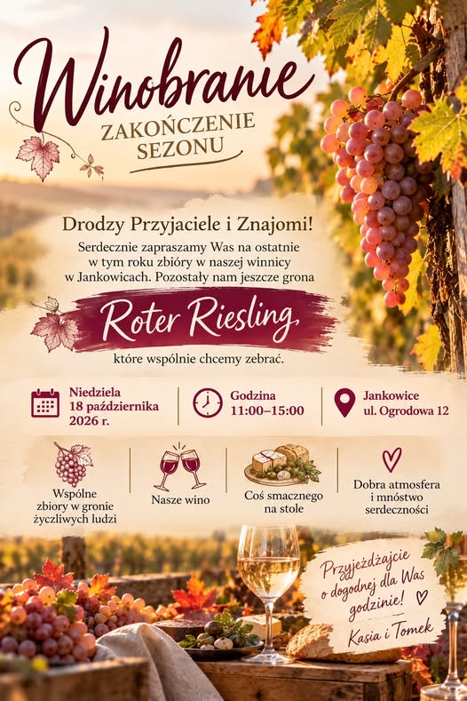 Grape Harvest at Dolina Samy Jankowice Vineyard